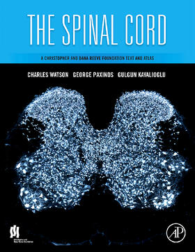 Watson / Paxinos / Kayalioglu |  The Spinal Cord | Buch |  Sack Fachmedien