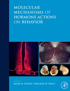 Etgen / Pfaff |  Molecular Mechanisms of Hormone Actions on Behavior | Buch |  Sack Fachmedien