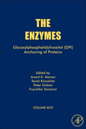 Menon / Kinoshita / Orlean |  Glycosylphosphatidylinositol (Gpi) Anchoring of Proteins | Buch |  Sack Fachmedien