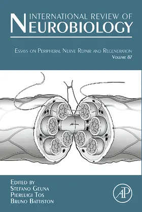 Geuna / Tos / Battiston |  Essays on Peripheral Nerve Repair and Regeneration | Buch |  Sack Fachmedien