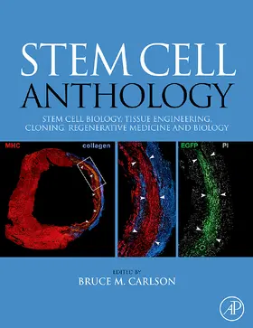  Stem Cell Anthology | Buch |  Sack Fachmedien