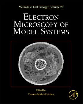  Electron Microscopy of Model Systems | Buch |  Sack Fachmedien