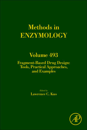  Fragment Based Drug Design | Buch |  Sack Fachmedien