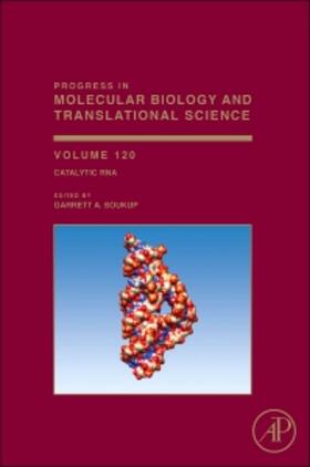  Catalytic RNA | Buch |  Sack Fachmedien