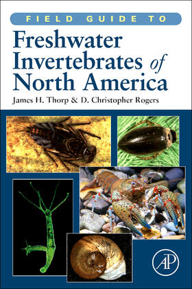 Thorp / Rogers |  Field Guide to Freshwater Invertebrates of North America | Buch |  Sack Fachmedien