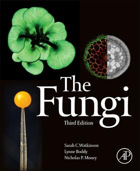 Boddy / Watkinson / Money |  The Fungi | Buch |  Sack Fachmedien
