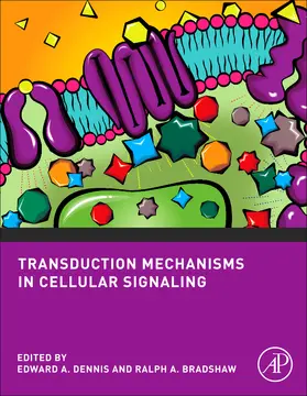 Dennis / Bradshaw |  Transduction Mechanisms in Cellular Signaling | Buch |  Sack Fachmedien