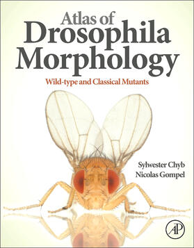 Chyb / Gompel |  Atlas of Drosophila Morphology | Buch |  Sack Fachmedien