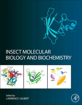 Gilbert |  Insect Molecular Biology and Biochemistry | Buch |  Sack Fachmedien