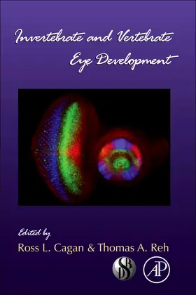  Invertebrate and Vertebrate Eye Development | Buch |  Sack Fachmedien