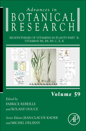  Biosynthesis of Vitamins in Plants Part B | Buch |  Sack Fachmedien