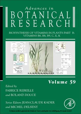 Rebeille / Douce |  Biosynthesis of Vitamins in Plants Part B | eBook | Sack Fachmedien