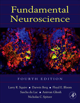 Ghosh / Squire / Berg |  Fundamental Neuroscience | Buch |  Sack Fachmedien