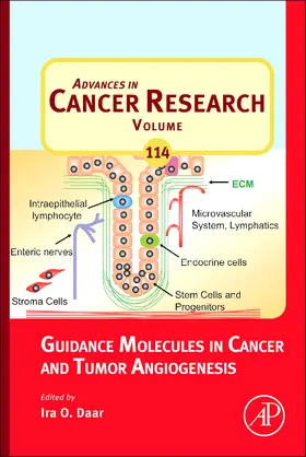  Guidance Molecules in Cancer and Tumor Angiogenesis | Buch |  Sack Fachmedien