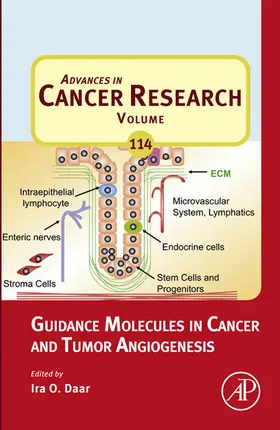 Daar |  Guidance Molecules in Cancer and Tumor Angiogenesis | eBook | Sack Fachmedien