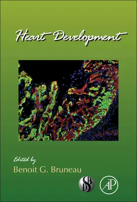  Heart Development | Buch |  Sack Fachmedien