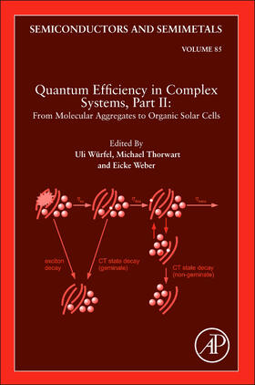  Quantum Efficiency in Complex Systems, Part II: From Molecular Aggregates to Organic Solar Cells | Buch |  Sack Fachmedien