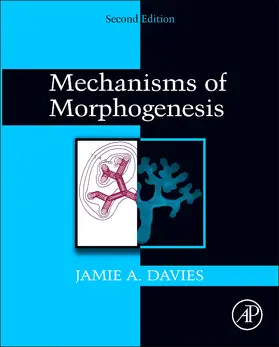 Davies |  Mechanisms of Morphogenesis | Buch |  Sack Fachmedien