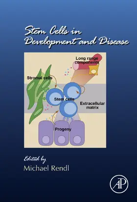 Rendl |  Stem Cells in Development and Disease | eBook | Sack Fachmedien