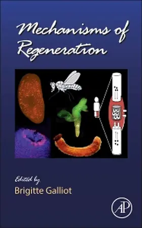  Mechanisms of Regeneration | Buch |  Sack Fachmedien