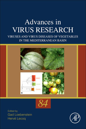 Viruses and Virus Diseases of Vegetables in the Mediterranean Basin | Buch |  Sack Fachmedien
