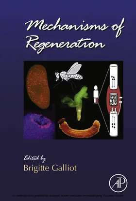 Galliot |  Mechanisms of Regeneration | eBook | Sack Fachmedien