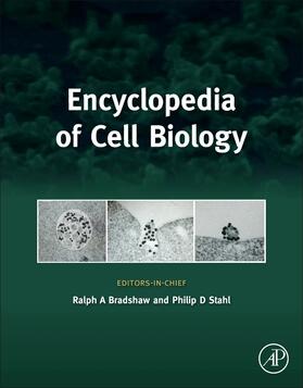  Encyclopedia of Cell Biology | Buch |  Sack Fachmedien