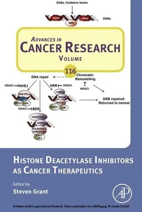 Grant |  Histone Deacetylase Inhibitors as Cancer Therapeutics | eBook | Sack Fachmedien