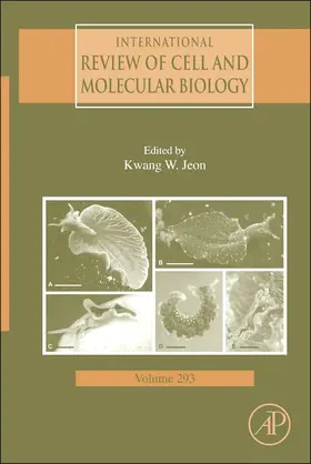 Jeon |  International Review of Cell and Molecular Biology | eBook | Sack Fachmedien