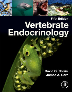 Norris / Carr |  Vertebrate Endocrinology | Buch |  Sack Fachmedien