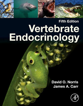 Norris / Carr |  Vertebrate Endocrinology | eBook | Sack Fachmedien