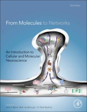 Byrne / Waxham / Heidelberger |  From Molecules to Networks | Buch |  Sack Fachmedien