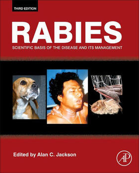 Jackson |  Rabies | eBook | Sack Fachmedien