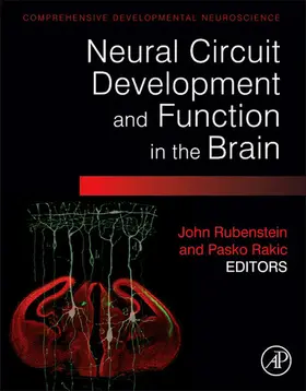 Rubenstein / Rakic |  Neural Circuit Development and Function in the Healthy and Diseased Brain | eBook | Sack Fachmedien