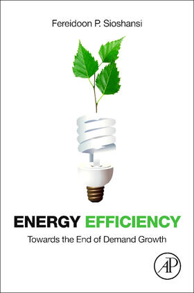 Sioshansi |  Energy Efficiency | Buch |  Sack Fachmedien