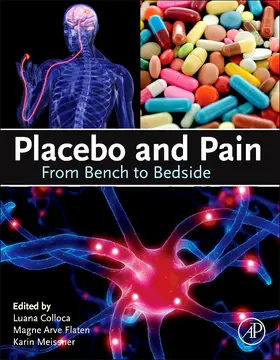 Colloca / Flaten / Meissner |  Placebo and Pain | Buch |  Sack Fachmedien