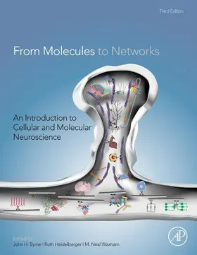 Byrne / Heidelberger / Waxham |  From Molecules to Networks | eBook | Sack Fachmedien