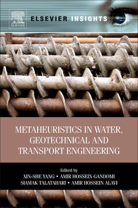 Yang / Talatahari |  Metaheuristics in Water, Geotechnical and Transport Engineering | eBook | Sack Fachmedien