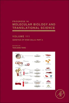  Genetics of Stem Cells | Buch |  Sack Fachmedien