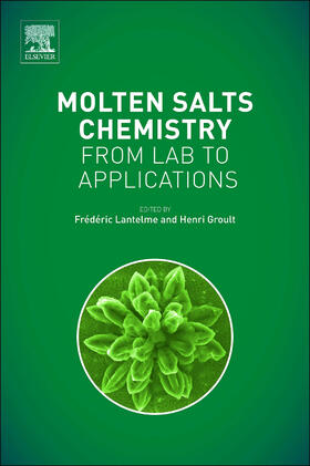 Groult / Lantelme |  Molten Salts Chemistry | Buch |  Sack Fachmedien