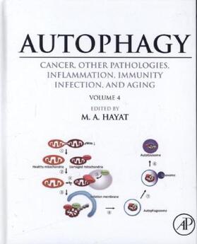 Hayat |  Autophagy: Cancer, Other Pathologies, Inflammation, Immunity, Infection, and Aging | Buch |  Sack Fachmedien