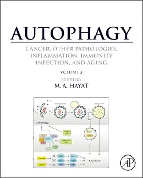 Hayat |  Autophagy: Cancer, Other Pathologies, Inflammation, Immunity, Infection, and Aging | Buch |  Sack Fachmedien