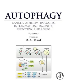 Hayat |  Autophagy: Cancer, Other Pathologies, Inflammation, Immunity, Infection, and Aging | eBook | Sack Fachmedien