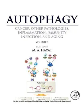 Hayat |  Autophagy: Cancer, Other Pathologies, Inflammation, Immunity, Infection, and Aging | eBook | Sack Fachmedien