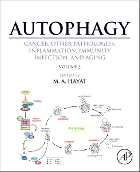 Hayat |  Autophagy: Cancer, Other Pathologies, Inflammation, Immunity, Infection, and Aging | Buch |  Sack Fachmedien