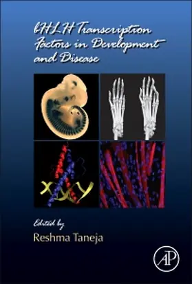  bHLH Transcription Factors in Development and Disease | Buch |  Sack Fachmedien