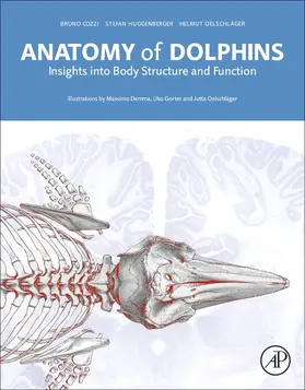 Cozzi / Huggenberger / Oelschläger |  Anatomy of Dolphins | Buch |  Sack Fachmedien