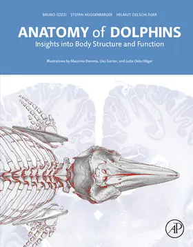 Cozzi / Huggenberger / Oelschläger |  Anatomy of Dolphins | eBook | Sack Fachmedien