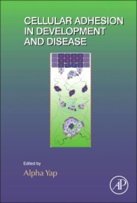  Cellular Adhesion in Development and Disease | Buch |  Sack Fachmedien