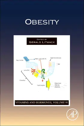  Obesity | Buch |  Sack Fachmedien